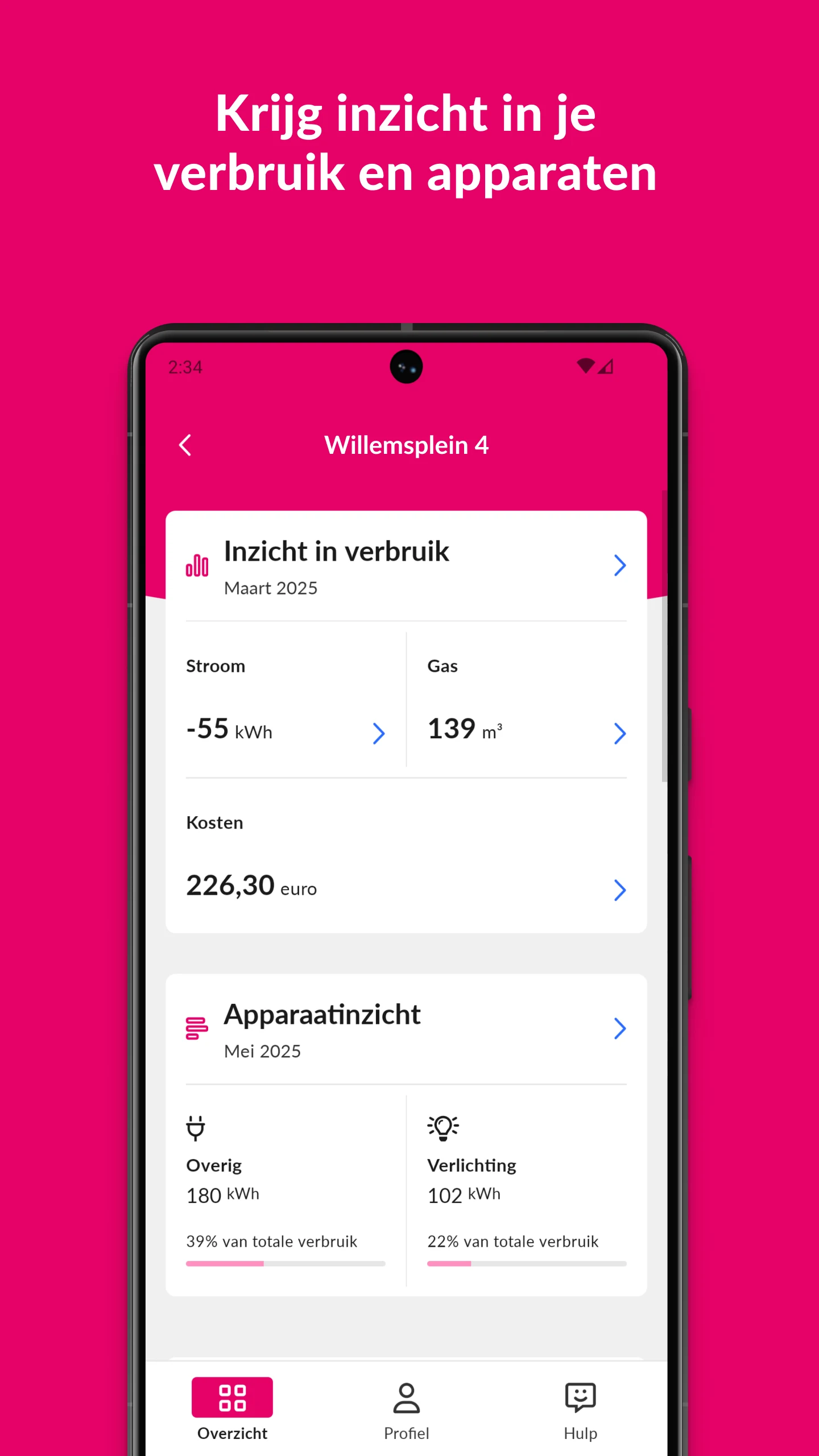 Essent screenshot