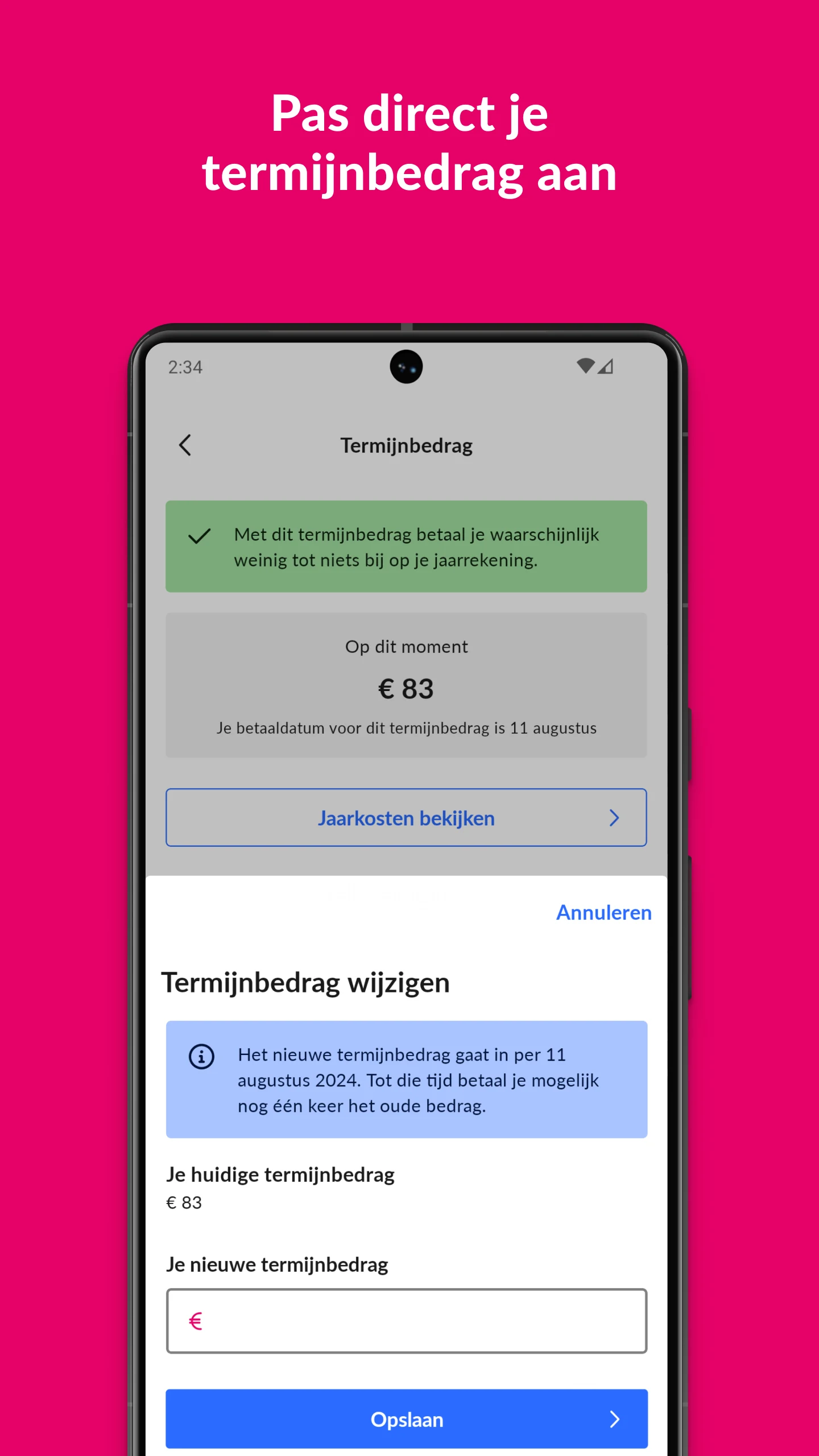 Essent screenshot